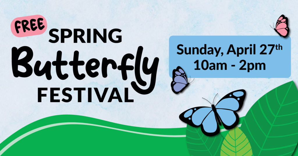 Spring Butterfly Festival